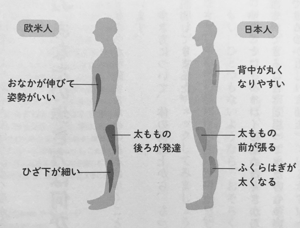 日本 人 と 外国 人 の 違い 体